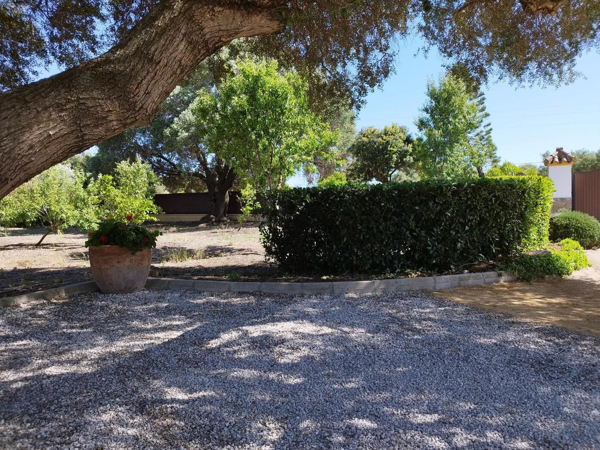 Vivienda Rural Los Madronos Malcocinado  Dış mekan fotoğraf